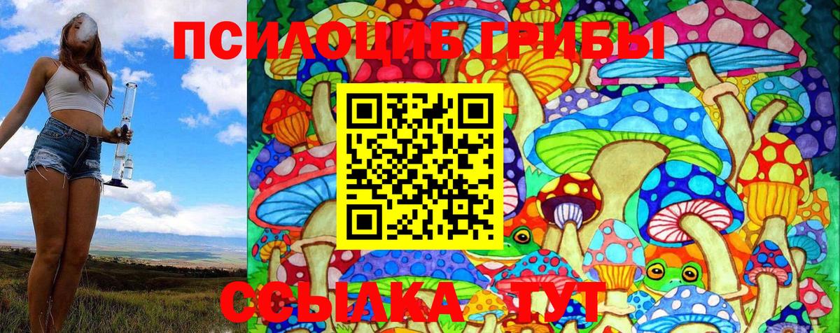 Киселёвск  магазин продажи наркотиков  Вход с VPN  Псилоцибиновые грибы Magic Shrooms 